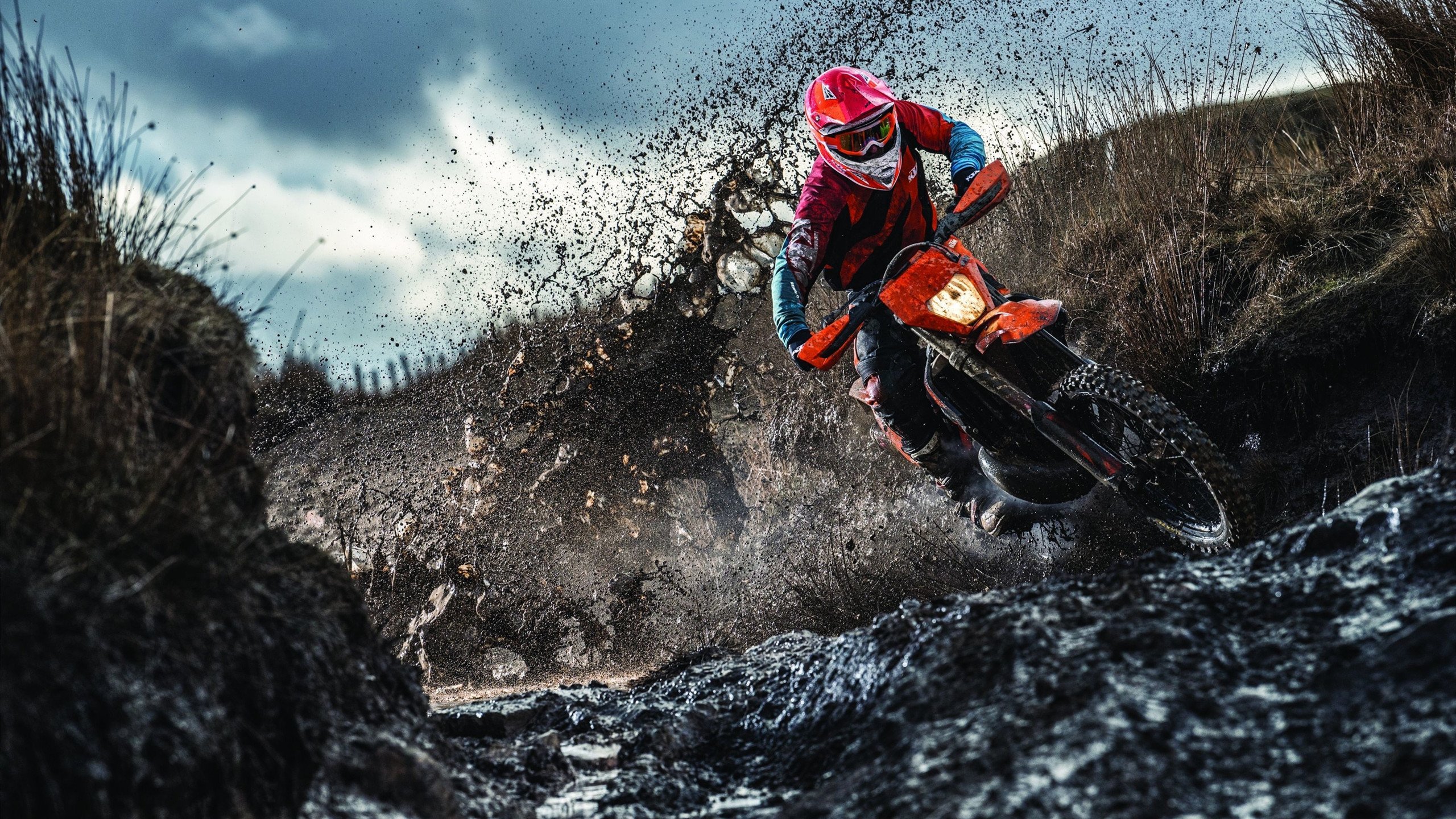 APEX英雄 青训营培养新秀成效明显,apex英雄训练营战术技能